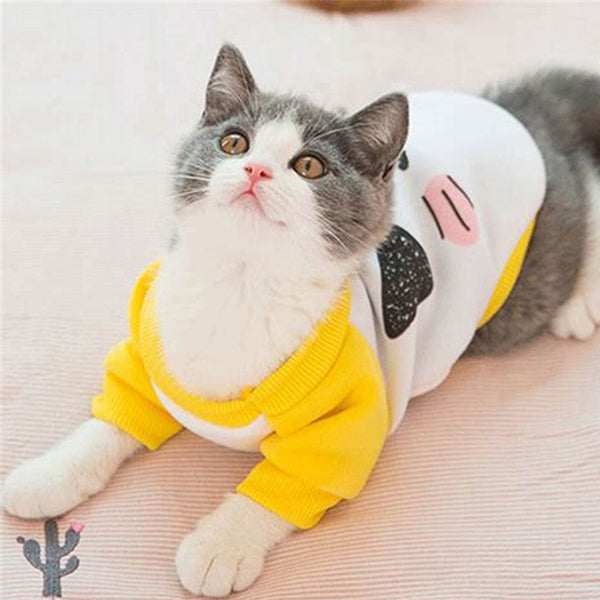 Cat clothes