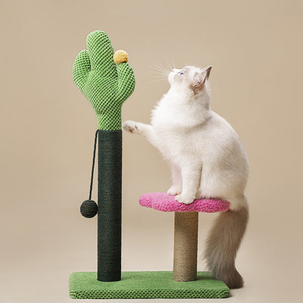 Cat toy